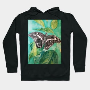 Black and white butterfly watercolour painting Hoodie